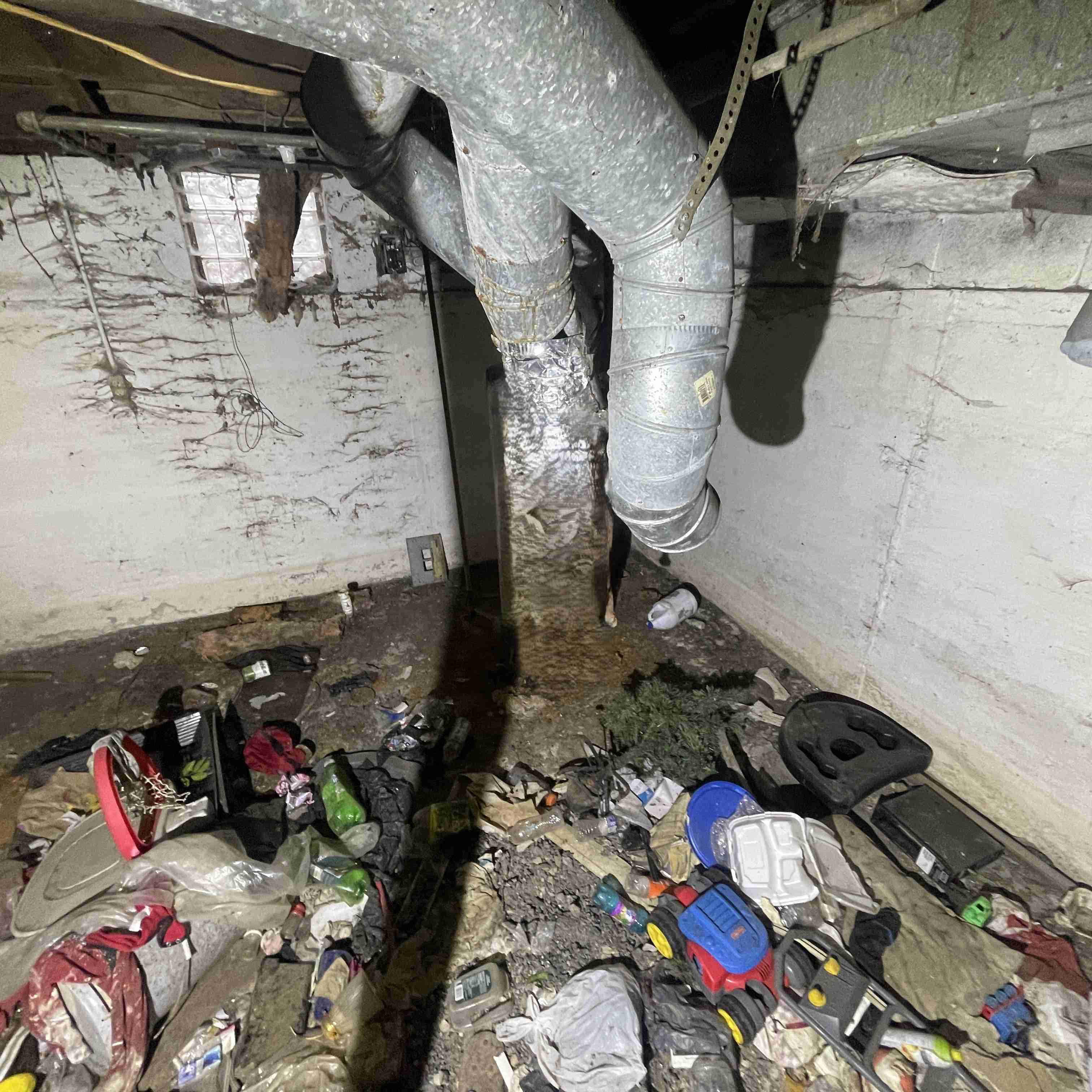 20015 Schoenherr (35).jpg